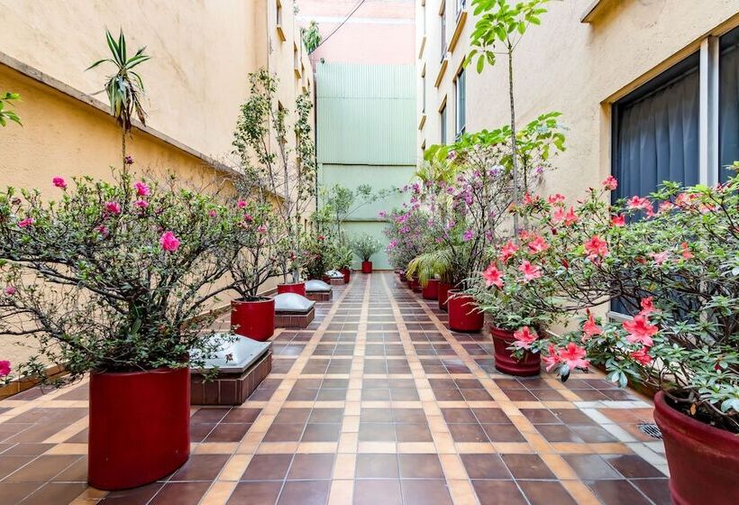 هتل Ayenda Hidalgo