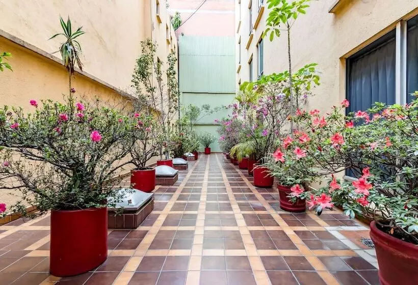 ホテル Ayenda Hidalgo