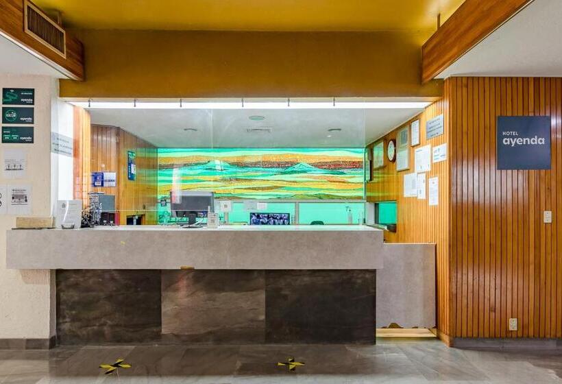 هتل Ayenda Hidalgo
