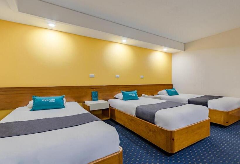 هتل Ayenda Hidalgo