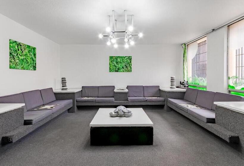 هتل Ayenda Hidalgo