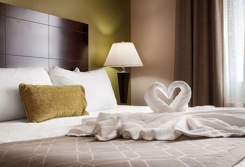 ホテル Best Western Plus Havre Inn & Suites