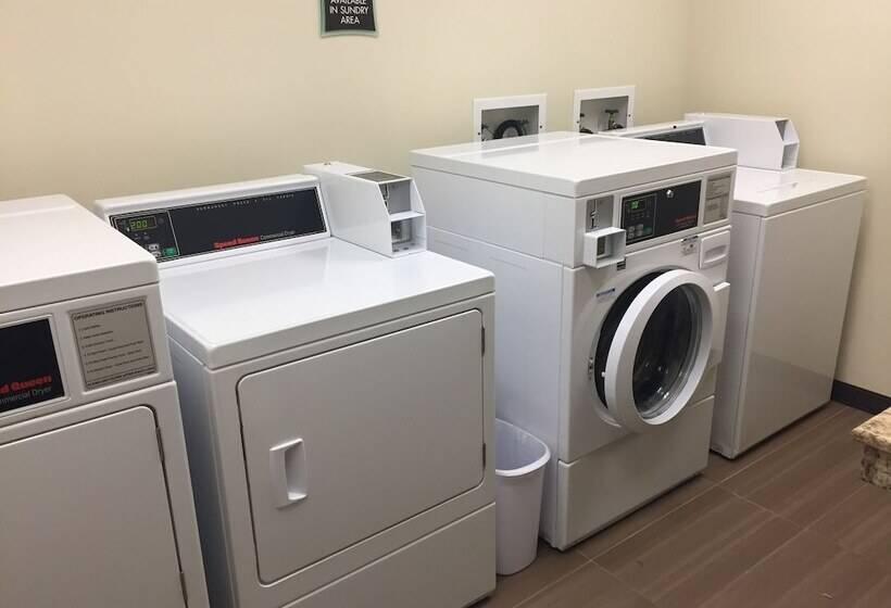 ホテル Best Western Plus Havre Inn & Suites