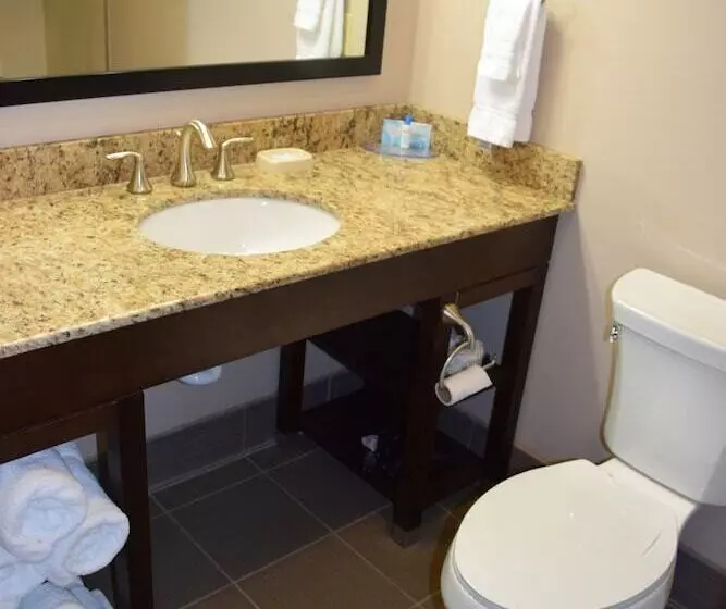 ホテル Best Western Plus Havre Inn & Suites