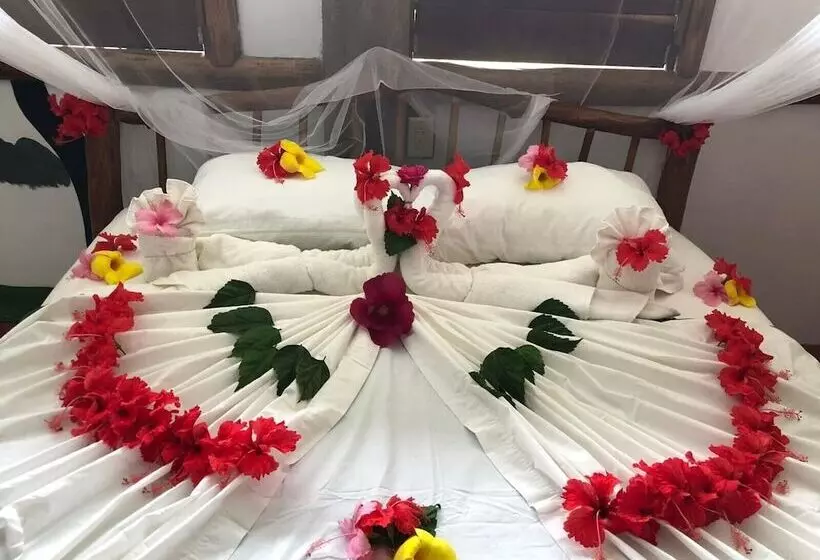 Hotel Cotton Tree Lodge