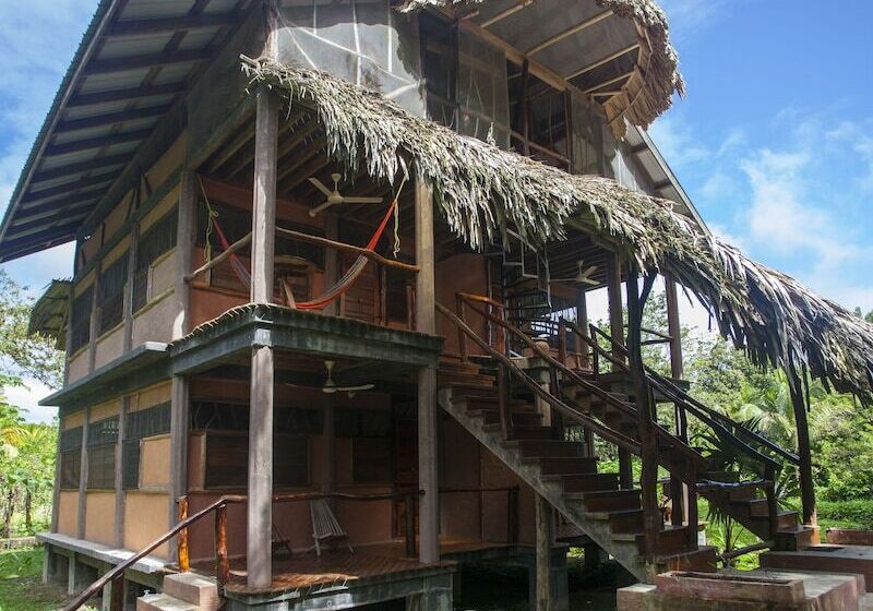 호텔 Cotton Tree Lodge