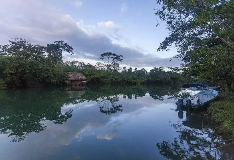 Hotel Cotton Tree Lodge