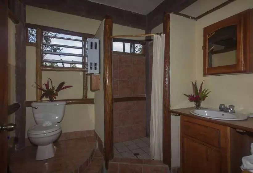 Hotel Cotton Tree Lodge