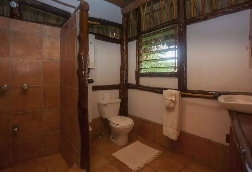 Hotel Cotton Tree Lodge