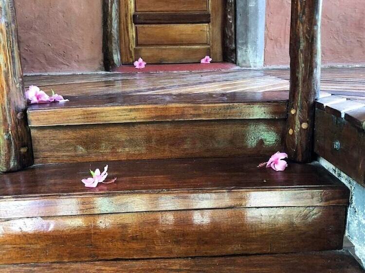 호텔 Cotton Tree Lodge