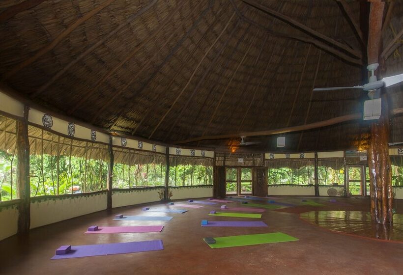 호텔 Cotton Tree Lodge