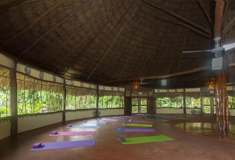 Hotel Cotton Tree Lodge