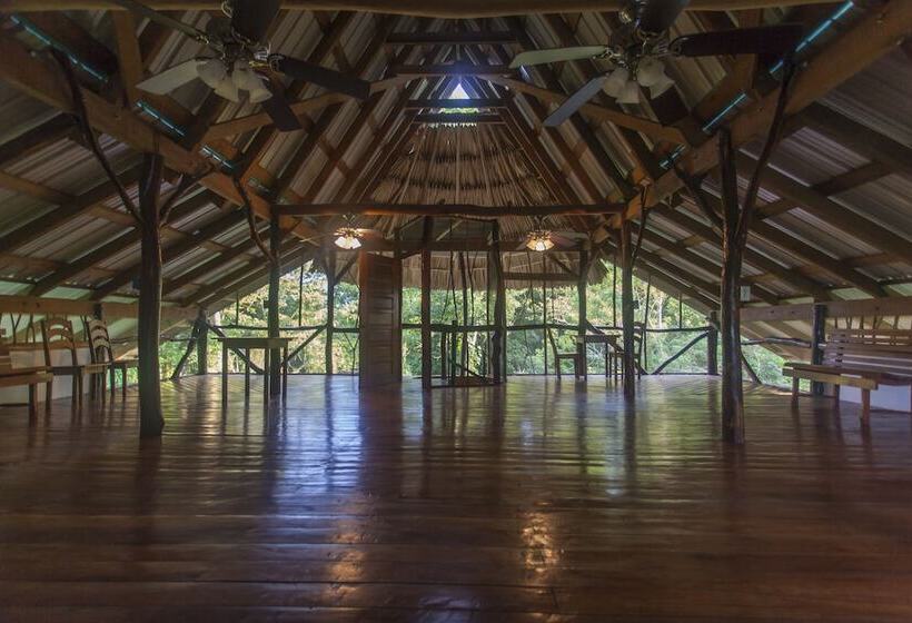 호텔 Cotton Tree Lodge