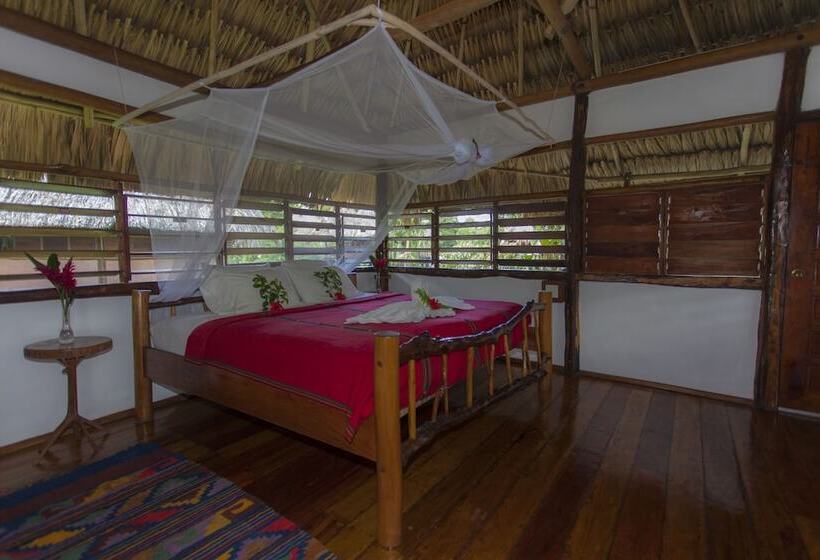 호텔 Cotton Tree Lodge