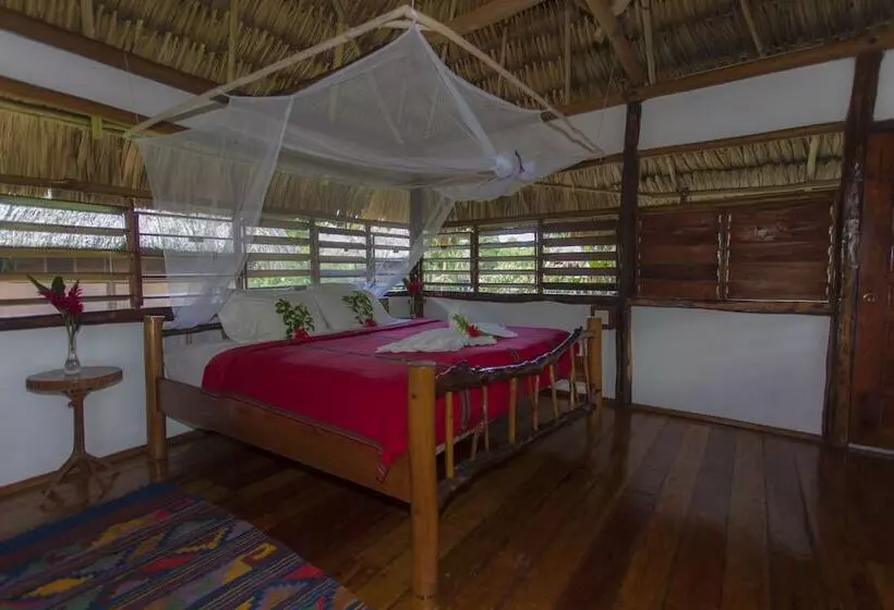 Hotel Cotton Tree Lodge