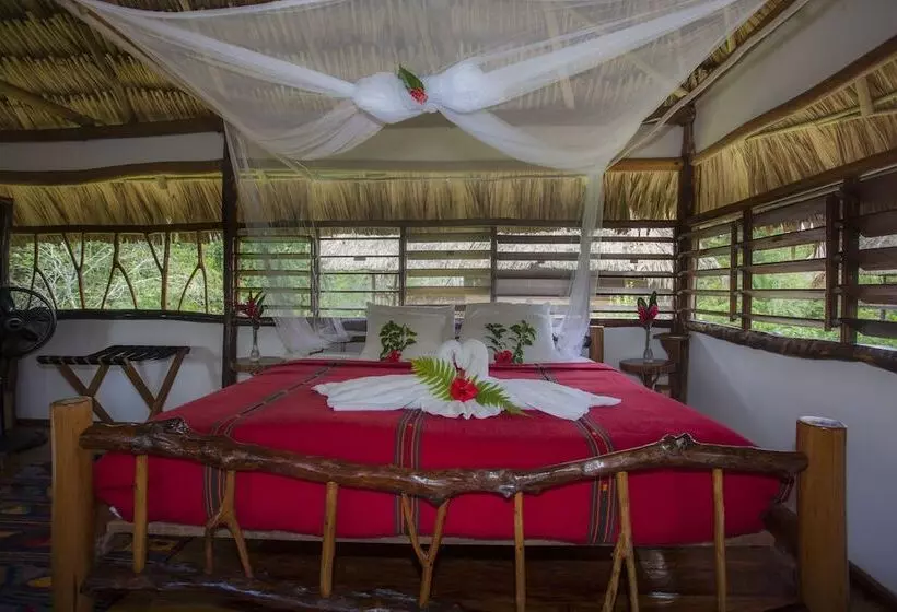 Hotel Cotton Tree Lodge