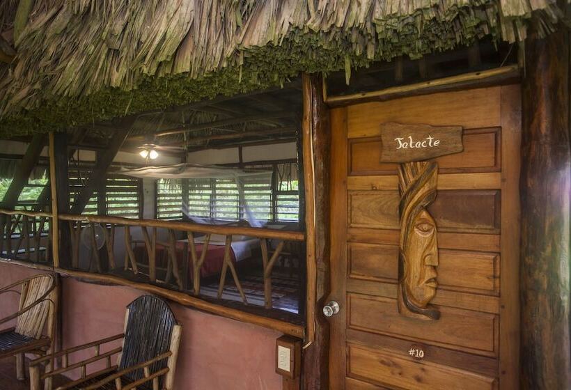 호텔 Cotton Tree Lodge