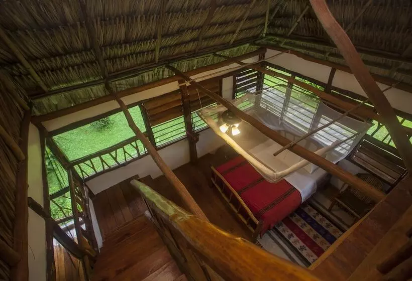 Hotel Cotton Tree Lodge