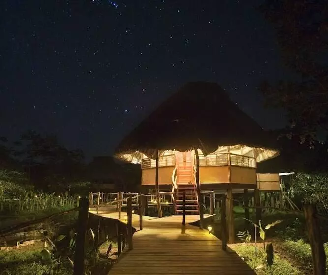 Hotel Cotton Tree Lodge