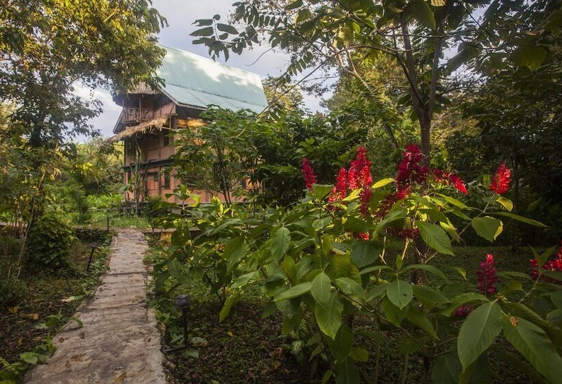 호텔 Cotton Tree Lodge