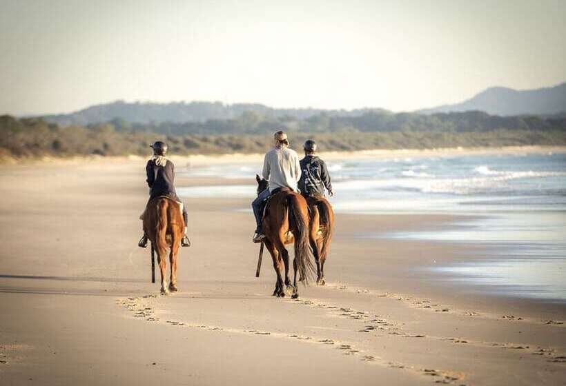 酒店 Elements Of Byron