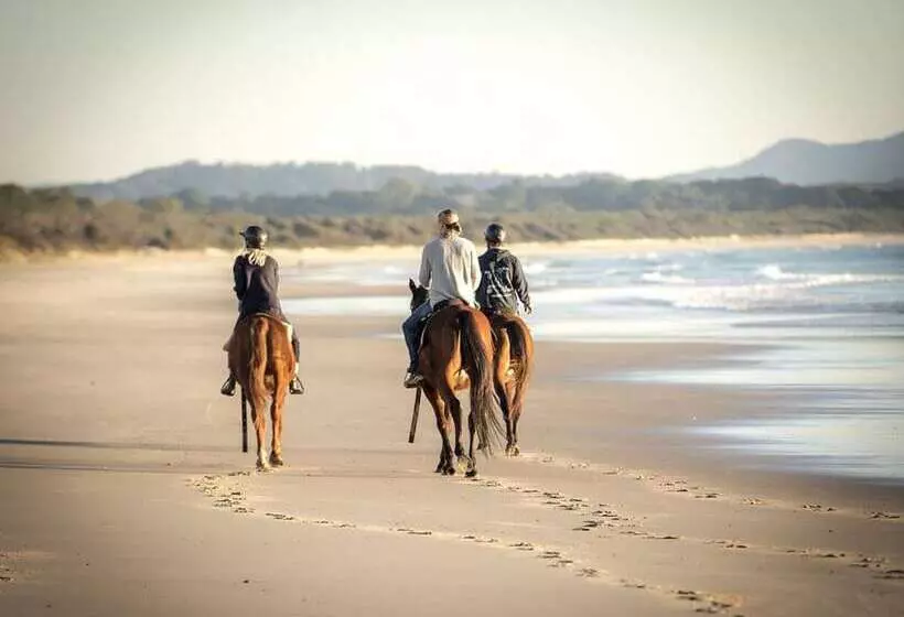 酒店 Elements Of Byron