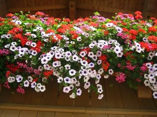 ホテル Haus Hofbichl