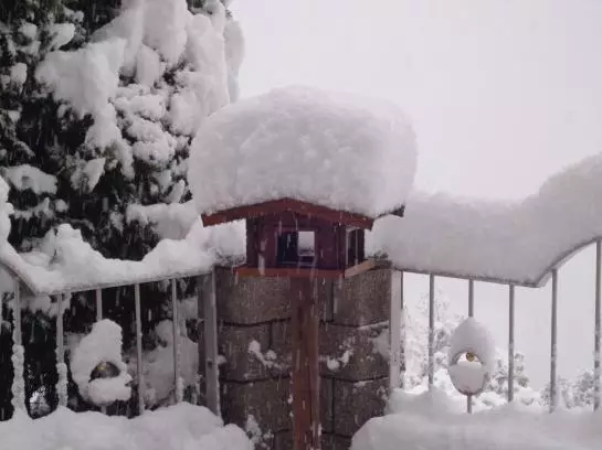 ホテル Haus Hofbichl