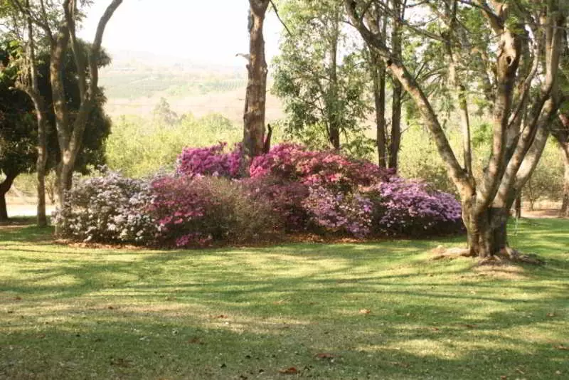 Hotelli Laughing Waters Guest House