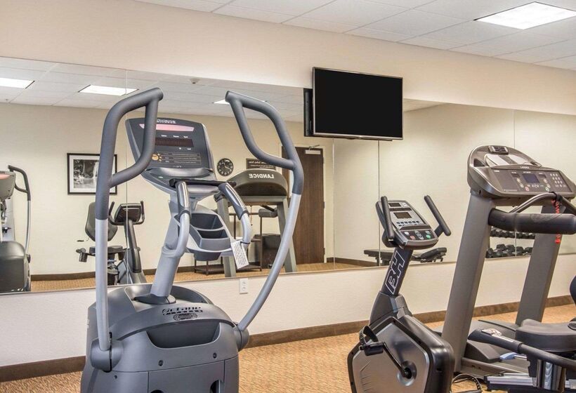 酒店 Mainstay Suites Meridian