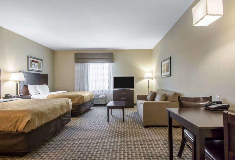 酒店 Mainstay Suites Meridian