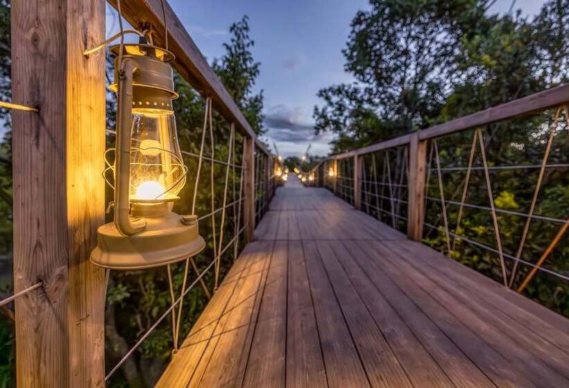 هتل Jw Marriott Masai Mara Lodge