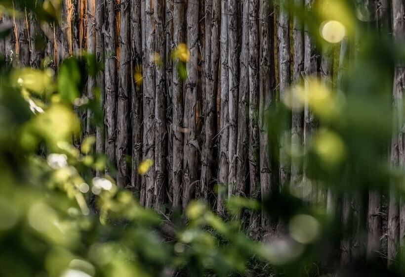 هتل Jw Marriott Masai Mara Lodge