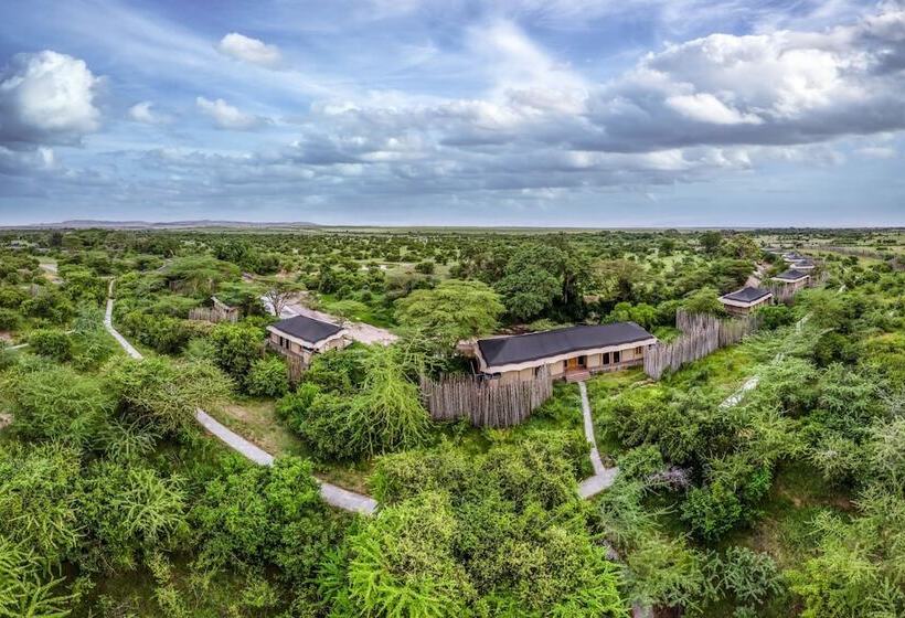 هتل Jw Marriott Masai Mara Lodge