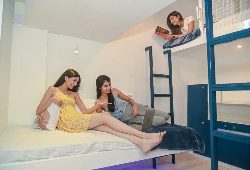 The Voyage Cafe Hostel Cowork