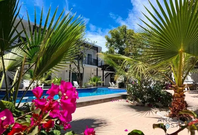 هاستل Downtown Studio Pool Bbq Near All The Hotspots