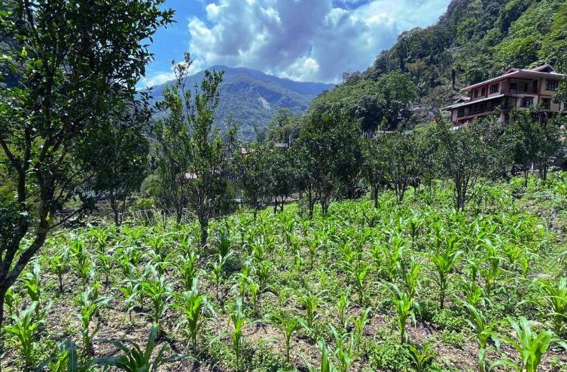 Hotel The Mandarine Retreat