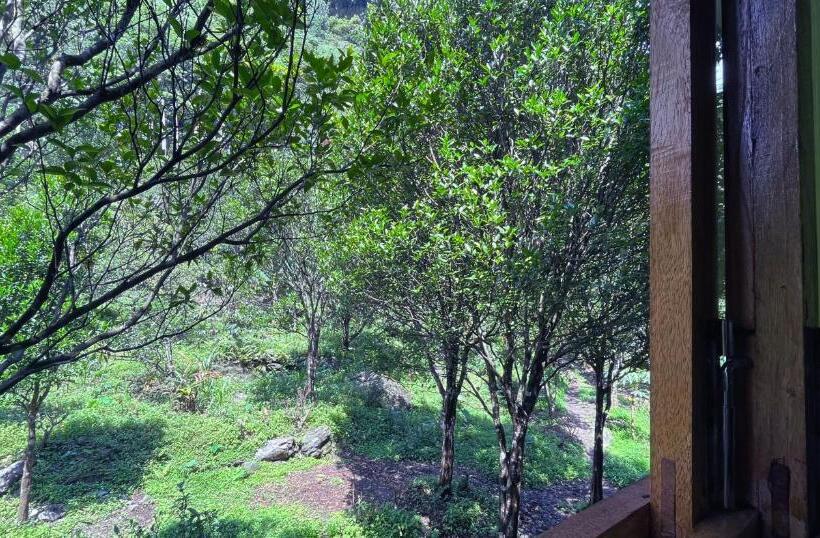 Hotel The Mandarine Retreat