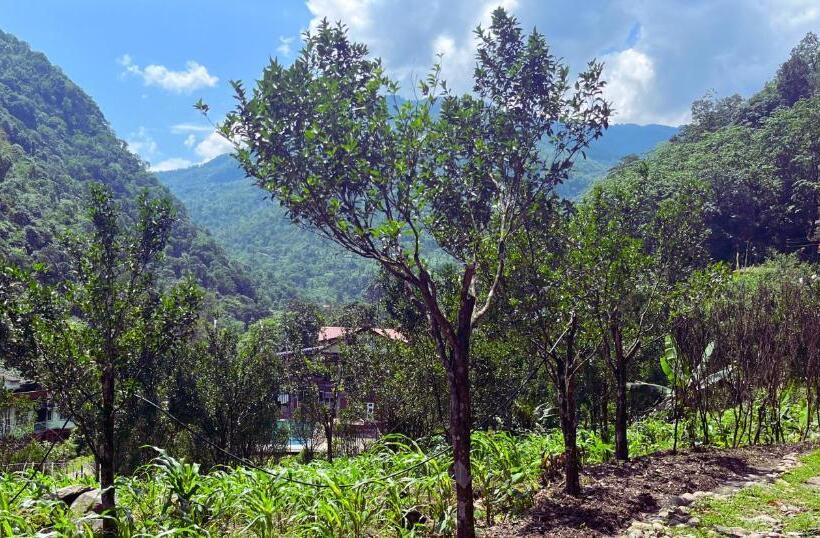 Hotel The Mandarine Retreat