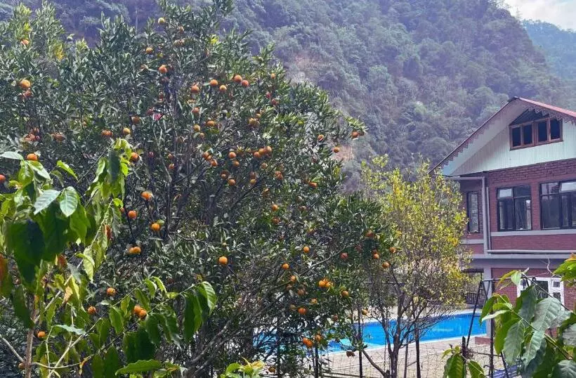 ホテル The Mandarine Retreat