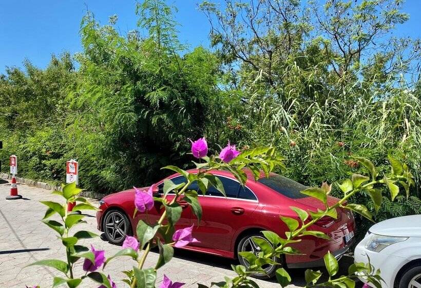 Sezz Hotels Spa Wellness Yalikavak Adult Only