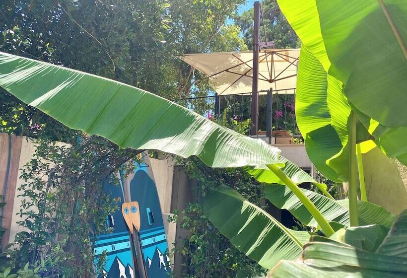 Sezz Hotels Spa Wellness Yalikavak Adult Only