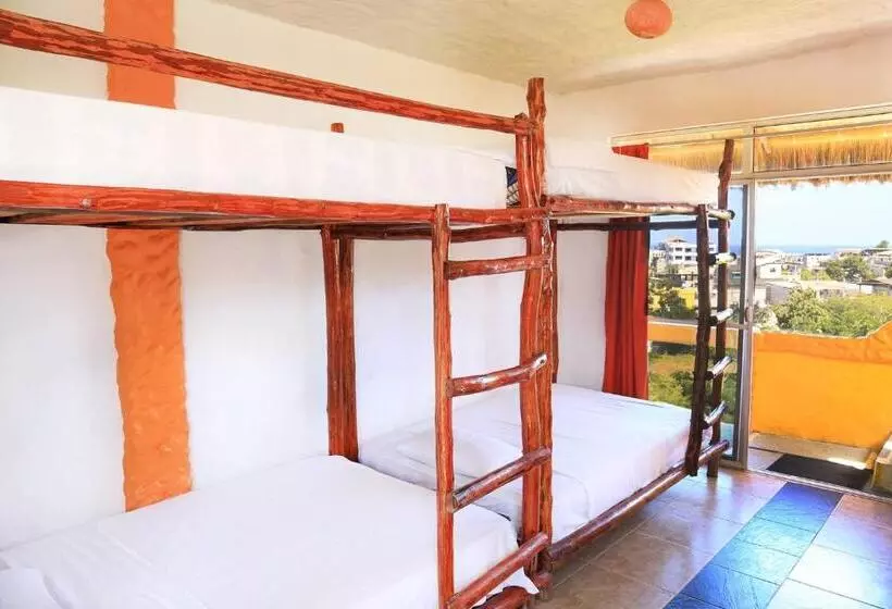 ユースホステル Kiwi Montañita Hostal