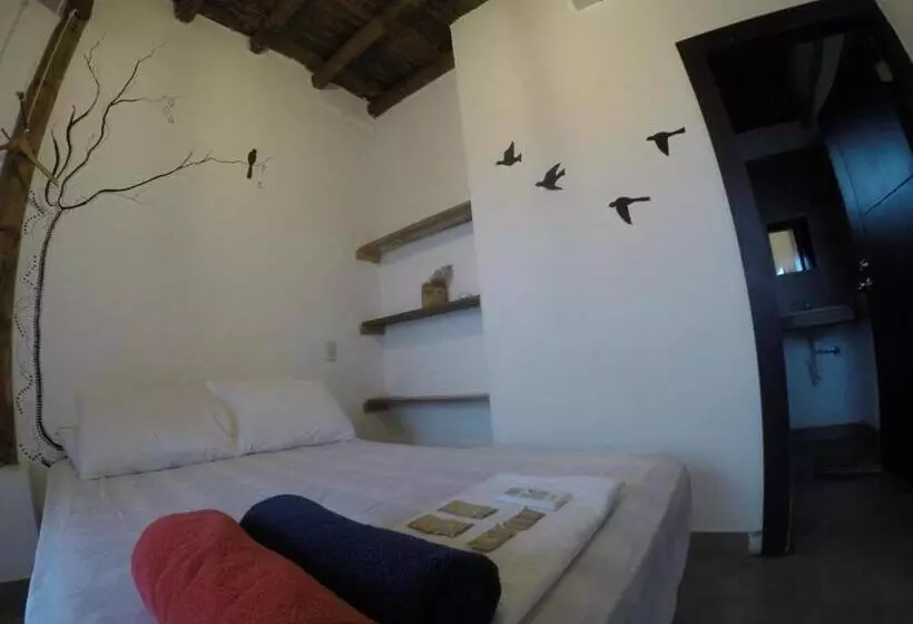 ユースホステル Kiwi Montañita Hostal