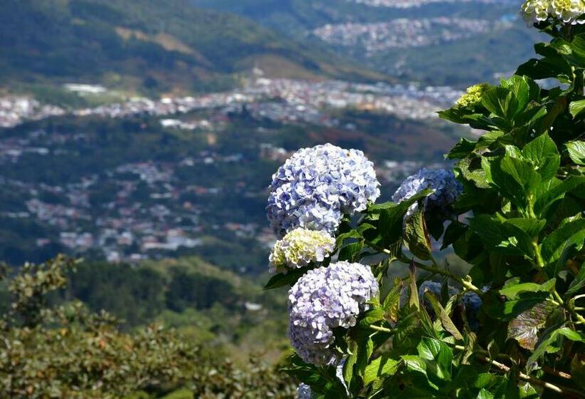 호텔 Colinas Altavista