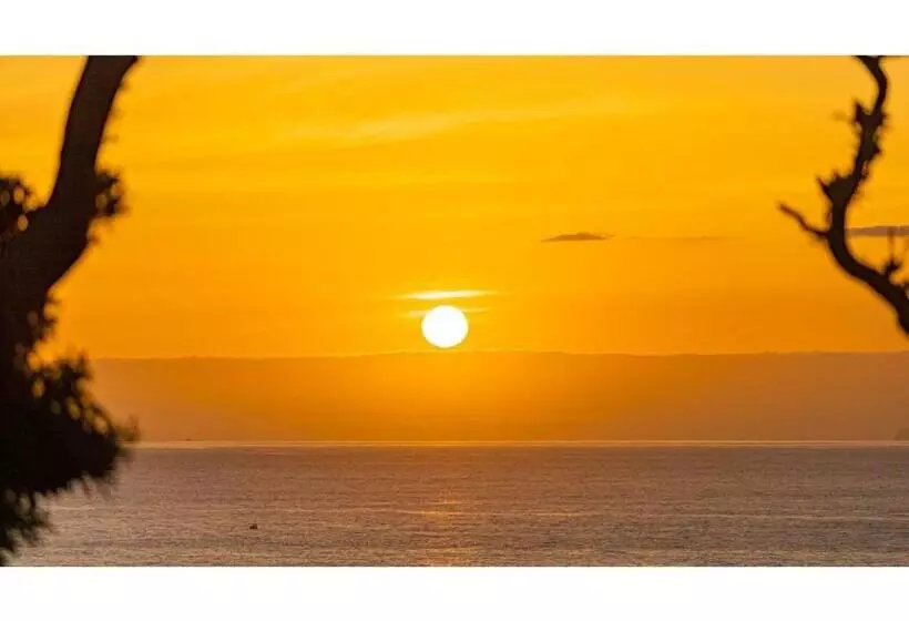 ホテル Garden Villa Shirahama   Vacation Stay 59282v