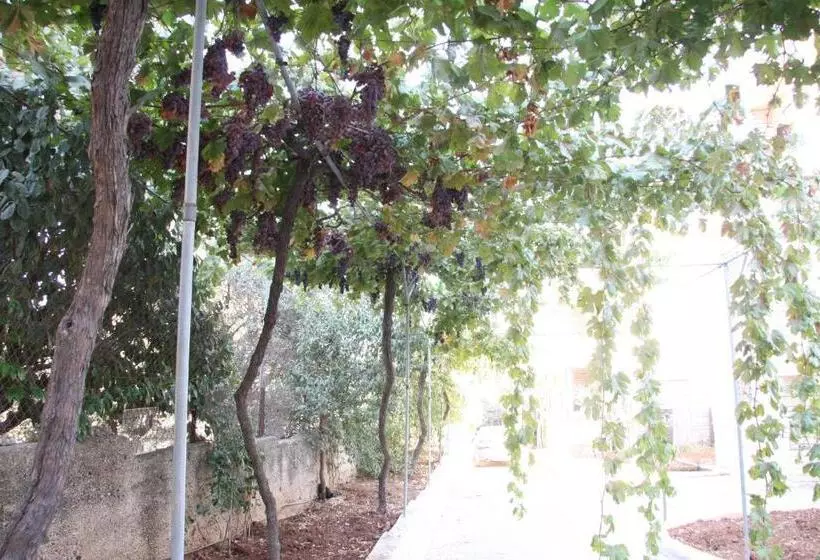 Ramallah Hostel
