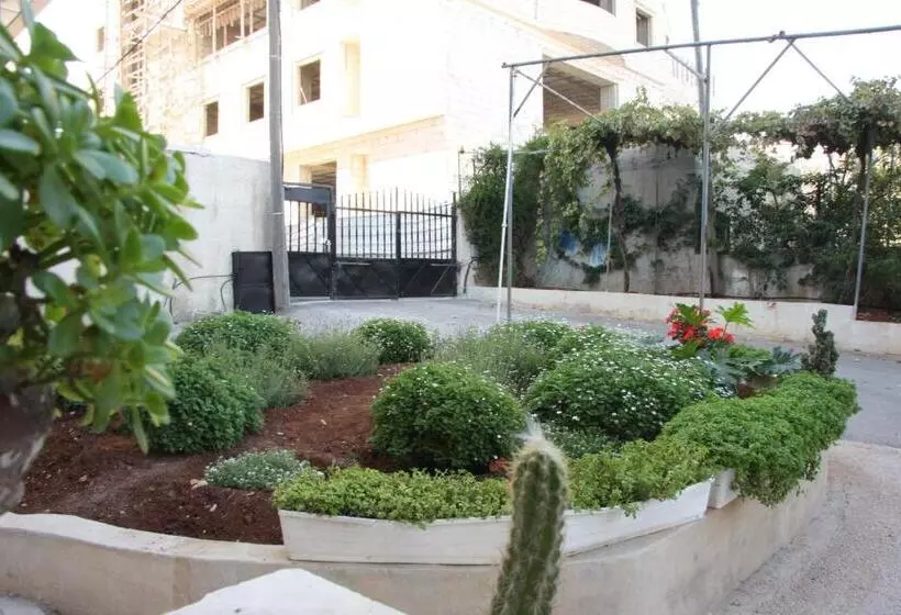 Ramallah Hostel