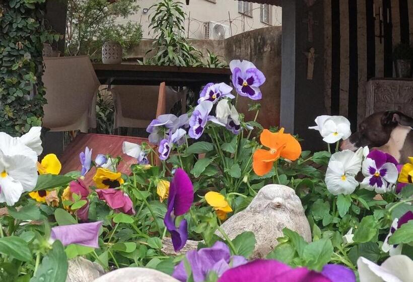 Pension Blue Bell Guesthouse