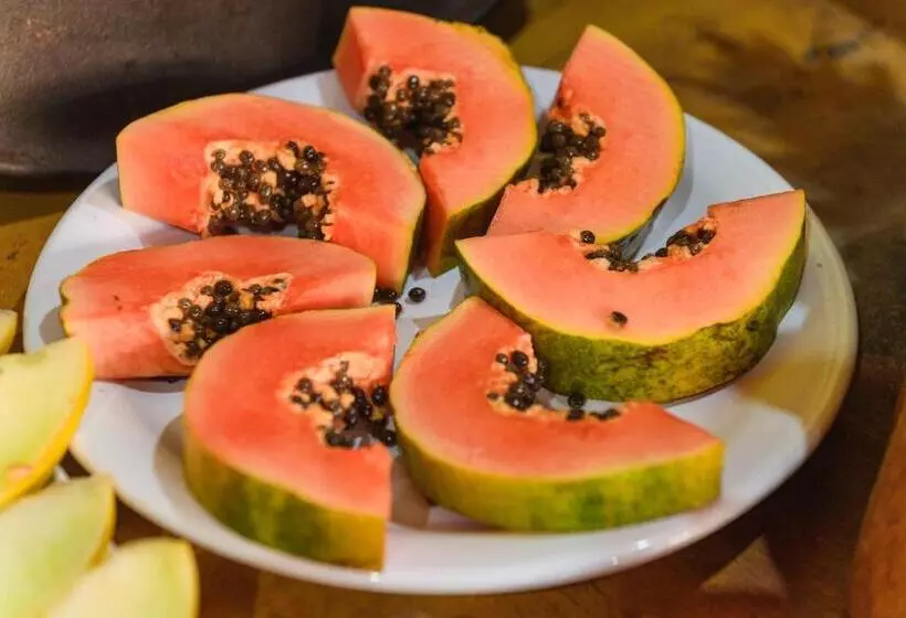 ペンション Pousada Casa De Fadas